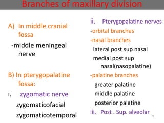 Branches of maxillary division
A) In middle cranial
fossa
-middle meningeal
nerve
B) In pterygopalatine
fossa:
i. zygomatic nerve
zygomaticofacial
zygomaticotemporal 77
ii. Pterygopalatine nerves
-orbital branches
-nasal branches
lateral post sup nasal
medial post sup
nasal(nasopalatine)
-palatine branches
greater palatine
middle palatine
posterior palatine
iii. Post . Sup. alveolar
 