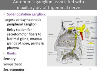 Autonomic ganglion associated with
maxillary div of trigeminal nerve
• Sphenopalatine ganglion:
-largest parasympathetic
peripheral ganglion
- Relay station for
secretomotor fibers to
lacrimal gland, mucous
glands of nose, palate &
pharynx
- Roots:
Sensory
Sympathetic
Secretomotor 80
 