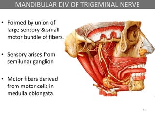 MANDIBULAR DIV OF TRIGEMINAL NERVE
• Formed by union of
large sensory & small
motor bundle of fibers.
• Sensory arises from
semilunar ganglion
• Motor fibers derived
from motor cells in
medulla oblongata
81
 