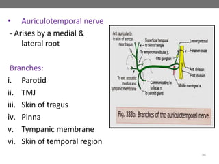 • Auriculotemporal nerve
- Arises by a medial &
lateral root
Branches:
i. Parotid
ii. TMJ
iii. Skin of tragus
iv. Pinna
v. Tympanic membrane
vi. Skin of temporal region
86
 