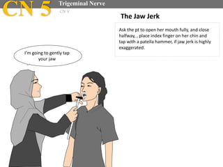 Ask the pt to open her mouth fully, and close
halfway, , place index finger on her chin and
tap with a patella hammer, if jaw jerk is highly
exaggerated.
The Jaw Jerk
I’m going to gently tap
your jaw
CN 5 Trigeminal Nerve
CN V
 