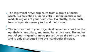  Facial nerve
 The facial nerve provides both sensory and motor
functions, including:

 moving muscles used for facial...