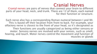 Cranial nerves are pairs of nerves that connect your brain to different
parts of your head, neck, and trunk. There are 12 ...