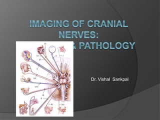 Dr. Vishal Sankpal
 