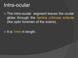 Interocular Area Cranial nerves anatomy & pathology | PPTX