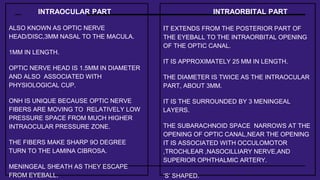 Interocular Area Cranial nerves | PPTX