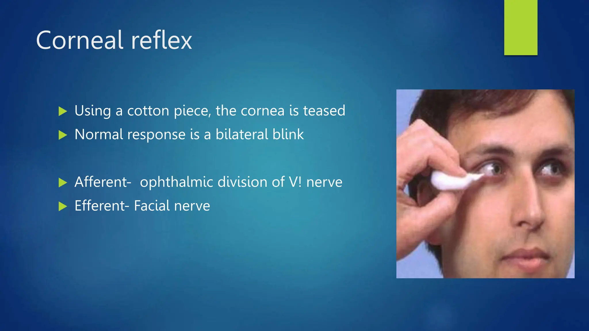cranial nerves and their examination ppt | PPTX