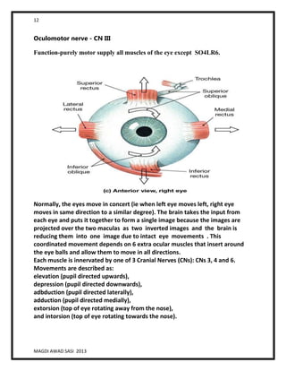 12
MAGDI AWAD SASI 2013
Oculomotor nerve - CN III
Function-purely motor supply all muscles of the eye except SO4LR6.
Normally, the eyes move in concert (ie when left eye moves left, right eye
moves in same direction to a similar degree). The brain takes the input from
each eye and puts it together to form a single image because the images are
projected over the two maculas as two inverted images and the brain is
reducing them into one image due to intact eye movements . This
coordinated movement depends on 6 extra ocular muscles that insert around
the eye balls and allow them to move in all directions.
Each muscle is innervated by one of 3 Cranial Nerves (CNs): CNs 3, 4 and 6.
Movements are described as:
elevation (pupil directed upwards),
depression (pupil directed downwards),
adbduction (pupil directed laterally),
adduction (pupil directed medially),
extorsion (top of eye rotating away from the nose),
and intorsion (top of eye rotating towards the nose).
 