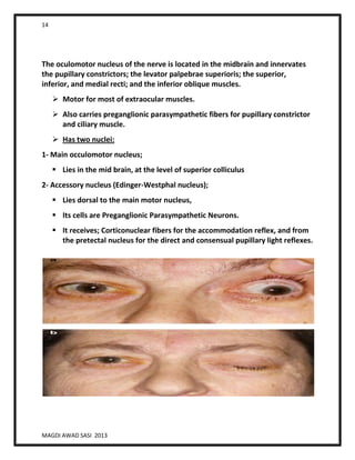 14
MAGDI AWAD SASI 2013
The oculomotor nucleus of the nerve is located in the midbrain and innervates
the pupillary constrictors; the levator palpebrae superioris; the superior,
inferior, and medial recti; and the inferior oblique muscles.
 Motor for most of extraocular muscles.
 Also carries preganglionic parasympathetic fibers for pupillary constrictor
and ciliary muscle.
 Has two nuclei:
1- Main occulomotor nucleus;
 Lies in the mid brain, at the level of superior colliculus
2- Accessory nucleus (Edinger-Westphal nucleus);
 Lies dorsal to the main motor nucleus,
 Its cells are Preganglionic Parasympathetic Neurons.
 It receives; Corticonuclear fibers for the accommodation reflex, and from
the pretectal nucleus for the direct and consensual pupillary light reflexes.
 
