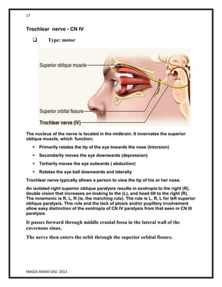 17
MAGDI AWAD SASI 2013
Trochlear nerve - CN IV
 Type: motor
The nucleus of the nerve is located in the midbrain. It innervates the superior
oblique muscle, which function;
 Primarily rotates the tip of the eye towards the nose (Intorsion)
 Secondarily moves the eye downwards (depression)
 Tertiarily moves the eye outwards ( abduction)
 Rotates the eye ball downwards and laterally
Trochlear nerve typically allows a person to view the tip of his or her nose.
An isolated right superior oblique paralysis results in exotropia to the right (R),
double vision that increases on looking to the (L), and head tilt to the right (R).
The mnemonic is R, L, R (ie, the marching rule). The rule is L, R, L for left superior
oblique paralysis. This rule and the lack of ptosis and/or pupillary involvement
allow easy distinction of the exotropia of CN IV paralysis from that seen in CN III
paralysis.
It passes forward through middle cranial fossa in the lateral wall of the
cavernous sinus.
The nerve then enters the orbit through the superior orbital fissure.
 