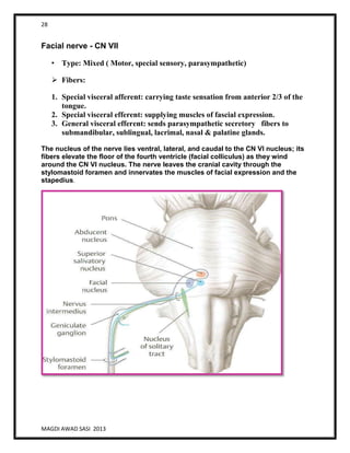 28
MAGDI AWAD SASI 2013
Facial nerve - CN VII
• Type: Mixed ( Motor, special sensory, parasympathetic)
 Fibers:
1. Special visceral afferent: carrying taste sensation from anterior 2/3 of the
tongue.
2. Special visceral efferent: supplying muscles of fascial expression.
3. General visceral efferent: sends parasympathetic secretory fibers to
submandibular, sublingual, lacrimal, nasal & palatine glands.
The nucleus of the nerve lies ventral, lateral, and caudal to the CN VI nucleus; its
fibers elevate the floor of the fourth ventricle (facial colliculus) as they wind
around the CN VI nucleus. The nerve leaves the cranial cavity through the
stylomastoid foramen and innervates the muscles of facial expression and the
stapedius.
 