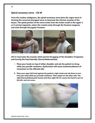 40
MAGDI AWAD SASI 2013
Spinal accessory nerve - CN XI
From the nucleus ambiguous, the spinal accessory nerve joins the vagus nerve in
forming the recurrent laryngeal nerve to innervate the intrinsic muscles of the
larynx. The spinal portion of the nerve arises from the motor nuclei in the upper 5
or 6 cervical segments, enters the cranial cavity through the foramen magnum,
and exits through the jugular foramen .
CN 11 innervates the muscles which permit shrugging of the shoulders (Trapezius)
and turning the head laterally (Sternocleidomastoid).
1. Place your hands on top of either shoulder and ask the patient to shrug
while you provide resistance. Dysfunction will cause weakness/absence of
movement on the affected side.
2. Place your open left hand against the patient's right cheek and ask them to turn
into your hand while you provide resistance. Then repeat on the other side. The
right Sternocleidomasoid muscle (and thus right CN 11) causes the head to turn to
the left, and vice versa..
 