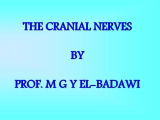THE CRANIAL NERVES
BY
PROF. M G Y EL-BADAWI
 