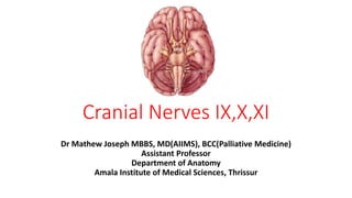 Cranial Nerves IX,X,XI
Dr Mathew Joseph MBBS, MD(AIIMS), BCC(Palliative Medicine)
Assistant Professor
Department of Anatomy
Amala Institute of Medical Sciences, Thrissur
 