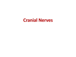 Cranial Nerves
 