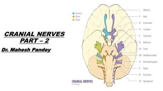 CRANIAL NERVES
PART – 2
Dr. Mahesh Pandey
 