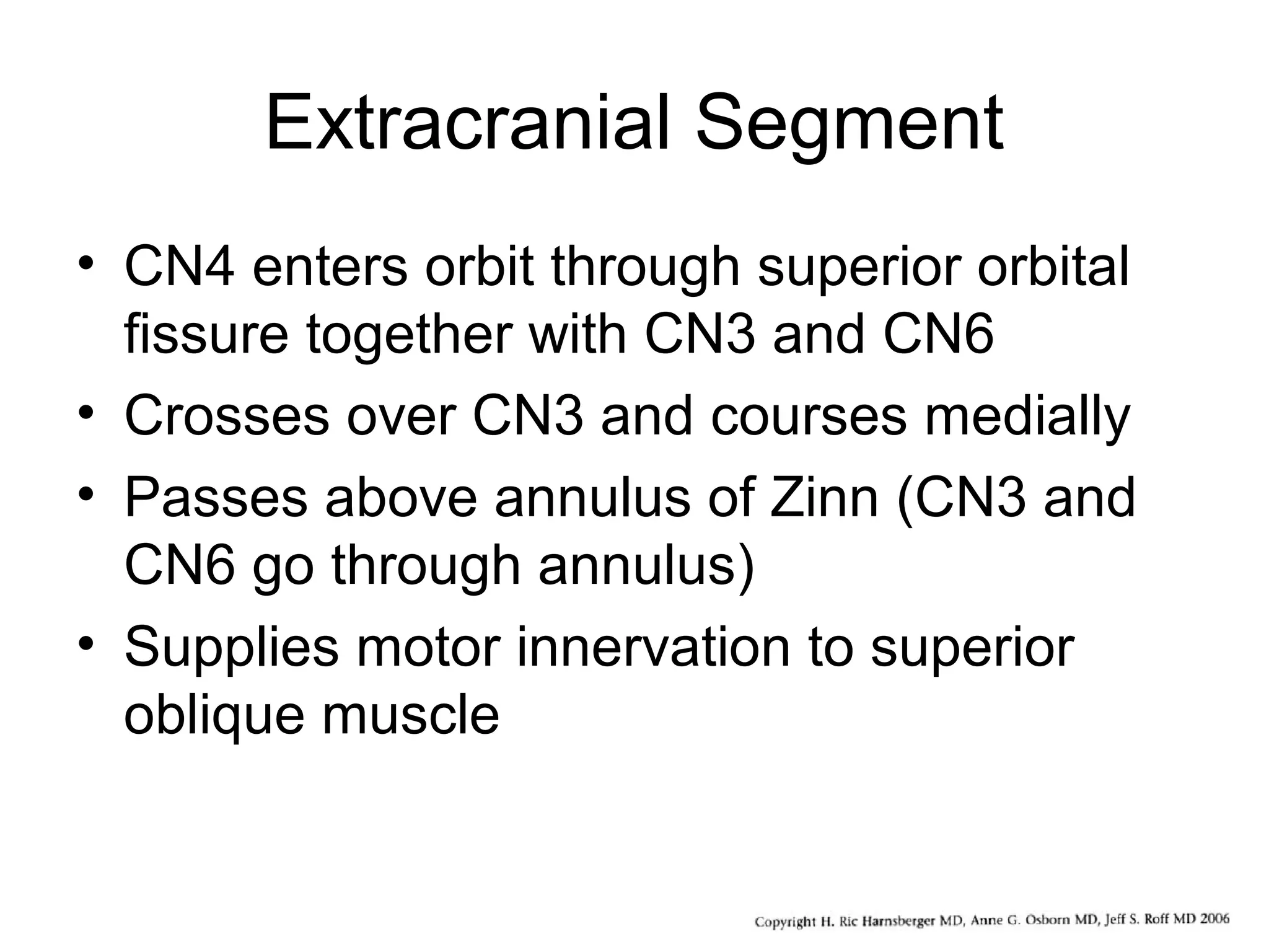 Extracranial Segment
• CN4 enters orbit through superior orbital
fissure together with CN3 and CN6
• Crosses over CN3 and courses medially
• Passes above annulus of Zinn (CN3 and
CN6 go through annulus)
• Supplies motor innervation to superior
oblique muscle
 