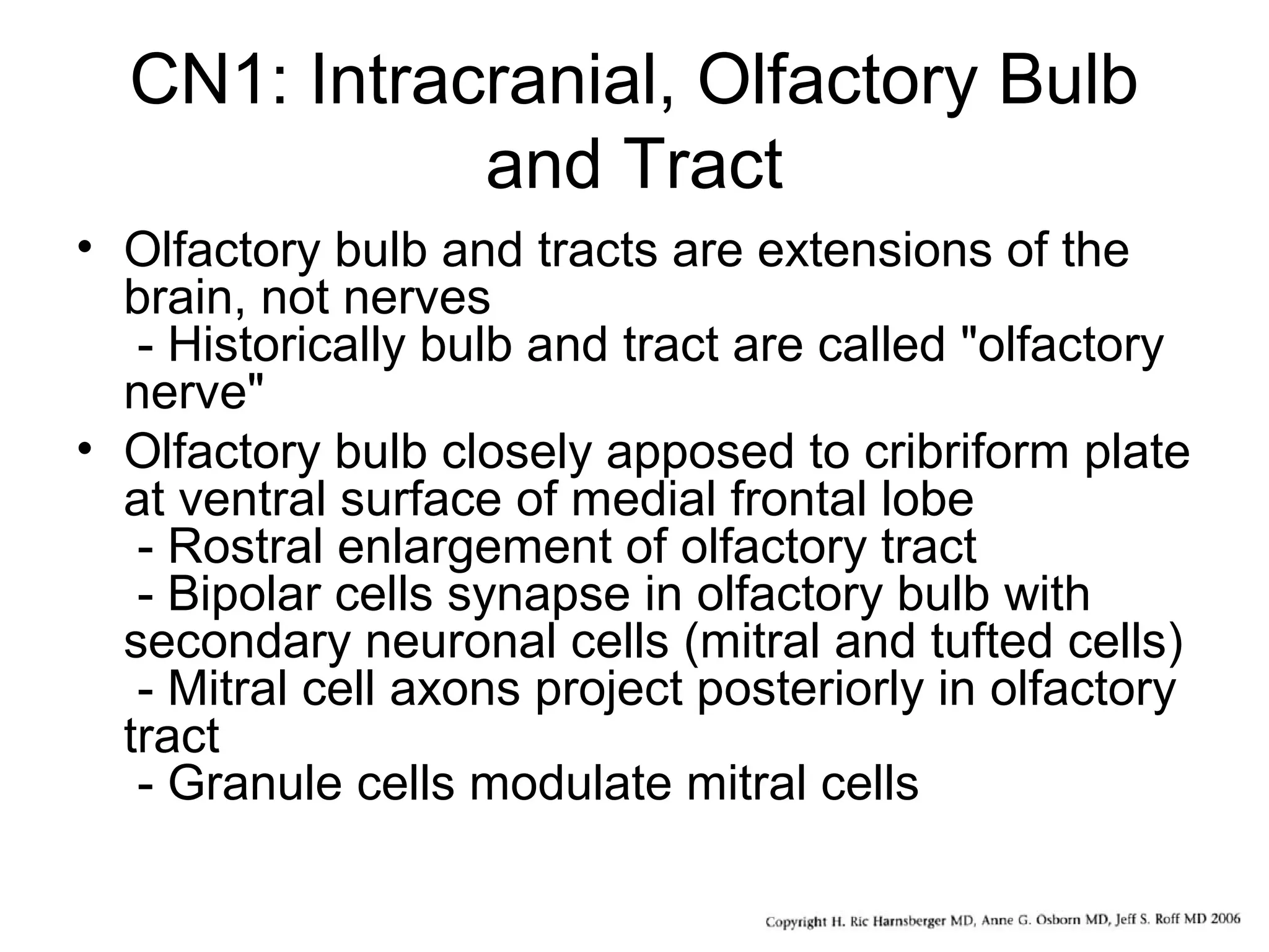 CN1: Intracranial, Olfactory Bulb
and Tract
• Olfactory bulb and tracts are extensions of the
brain, not nerves
- Historically bulb and tract are called "olfactory
nerve"
• Olfactory bulb closely apposed to cribriform plate
at ventral surface of medial frontal lobe
- Rostral enlargement of olfactory tract
- Bipolar cells synapse in olfactory bulb with
secondary neuronal cells (mitral and tufted cells)
- Mitral cell axons project posteriorly in olfactory
tract
- Granule cells modulate mitral cells
 