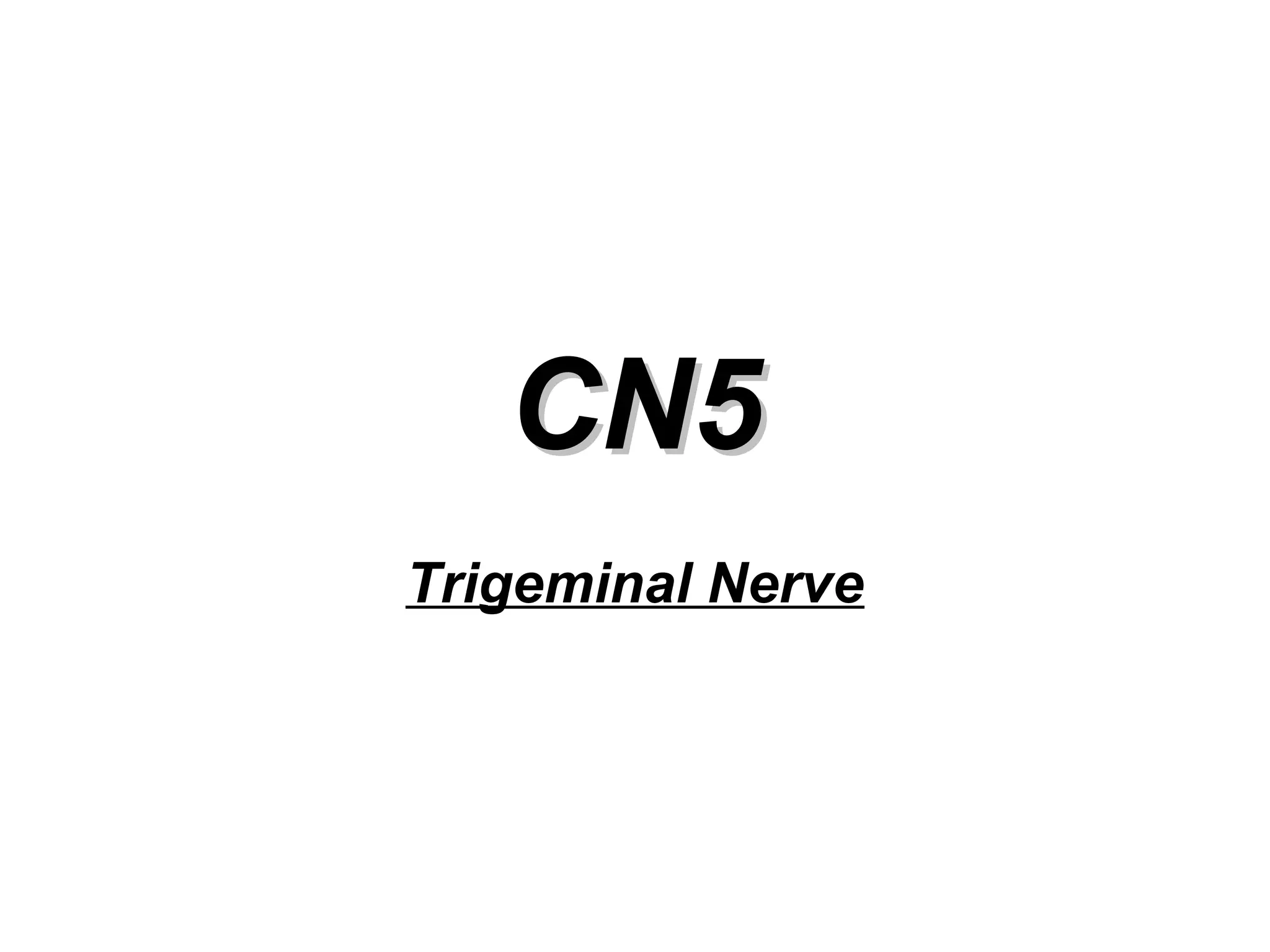 CN5CN5
Trigeminal Nerve
 