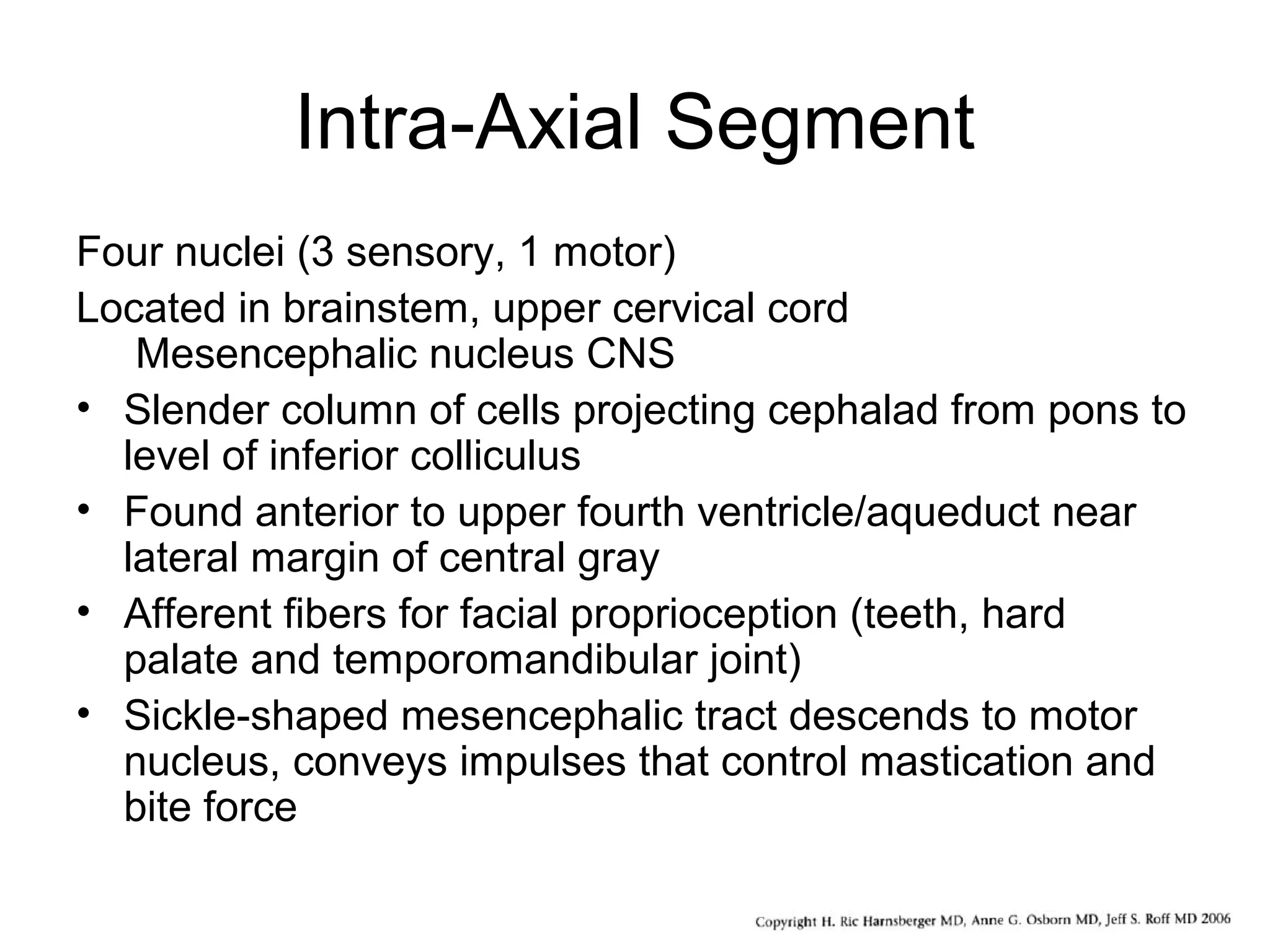 Intra-Axial Segment
Four nuclei (3 sensory, 1 motor)
Located in brainstem, upper cervical cord
Mesencephalic nucleus CNS
• Slender column of cells projecting cephalad from pons to
level of inferior colliculus
• Found anterior to upper fourth ventricle/aqueduct near
lateral margin of central gray
• Afferent fibers for facial proprioception (teeth, hard
palate and temporomandibular joint)
• Sickle-shaped mesencephalic tract descends to motor
nucleus, conveys impulses that control mastication and
bite force
 