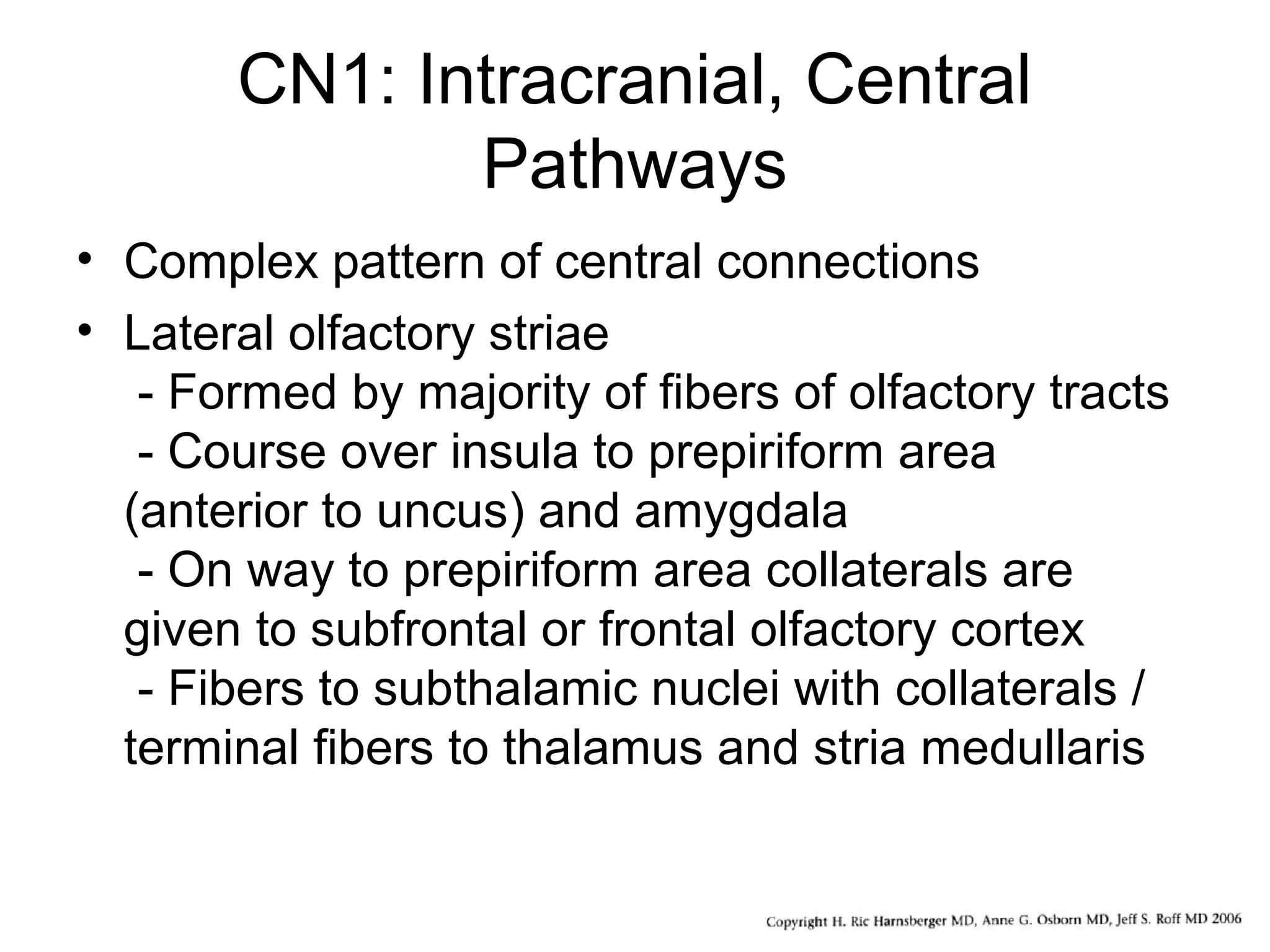 CN1: Intracranial, Central
Pathways
• Complex pattern of central connections
• Lateral olfactory striae
- Formed by majority of fibers of olfactory tracts
- Course over insula to prepiriform area
(anterior to uncus) and amygdala
- On way to prepiriform area collaterals are
given to subfrontal or frontal olfactory cortex
- Fibers to subthalamic nuclei with collaterals /
terminal fibers to thalamus and stria medullaris
 