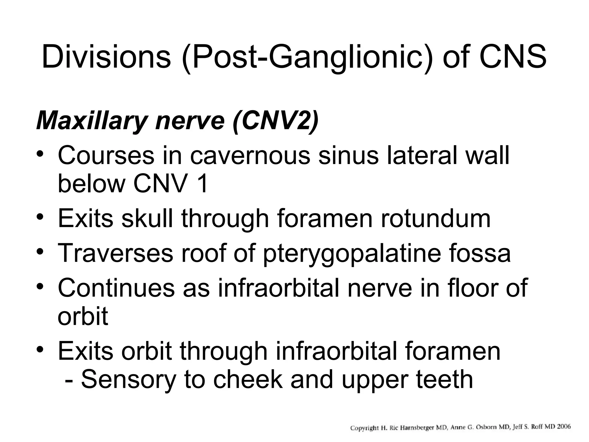 Divisions (Post-Ganglionic) of CNS
Maxillary nerve (CNV2)
• Courses in cavernous sinus lateral wall
below CNV 1
• Exits skull through foramen rotundum
• Traverses roof of pterygopalatine fossa
• Continues as infraorbital nerve in floor of
orbit
• Exits orbit through infraorbital foramen
- Sensory to cheek and upper teeth
 