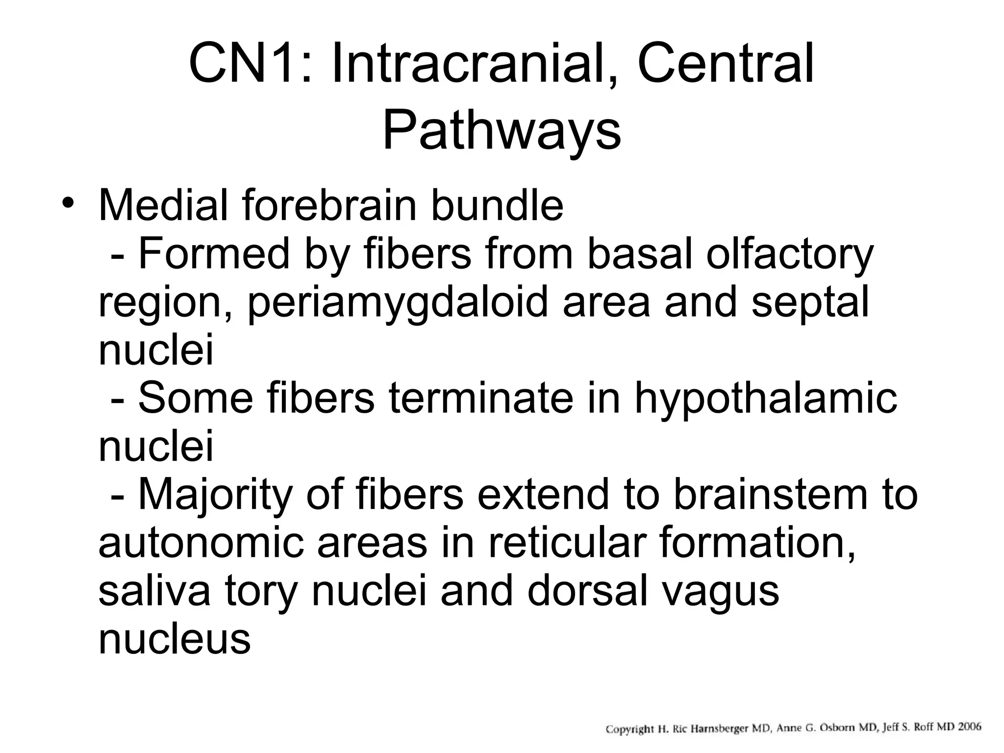 CN1: Intracranial, Central
Pathways
• Medial forebrain bundle
- Formed by fibers from basal olfactory
region, periamygdaloid area and septal
nuclei
- Some fibers terminate in hypothalamic
nuclei
- Majority of fibers extend to brainstem to
autonomic areas in reticular formation,
saliva tory nuclei and dorsal vagus
nucleus
 