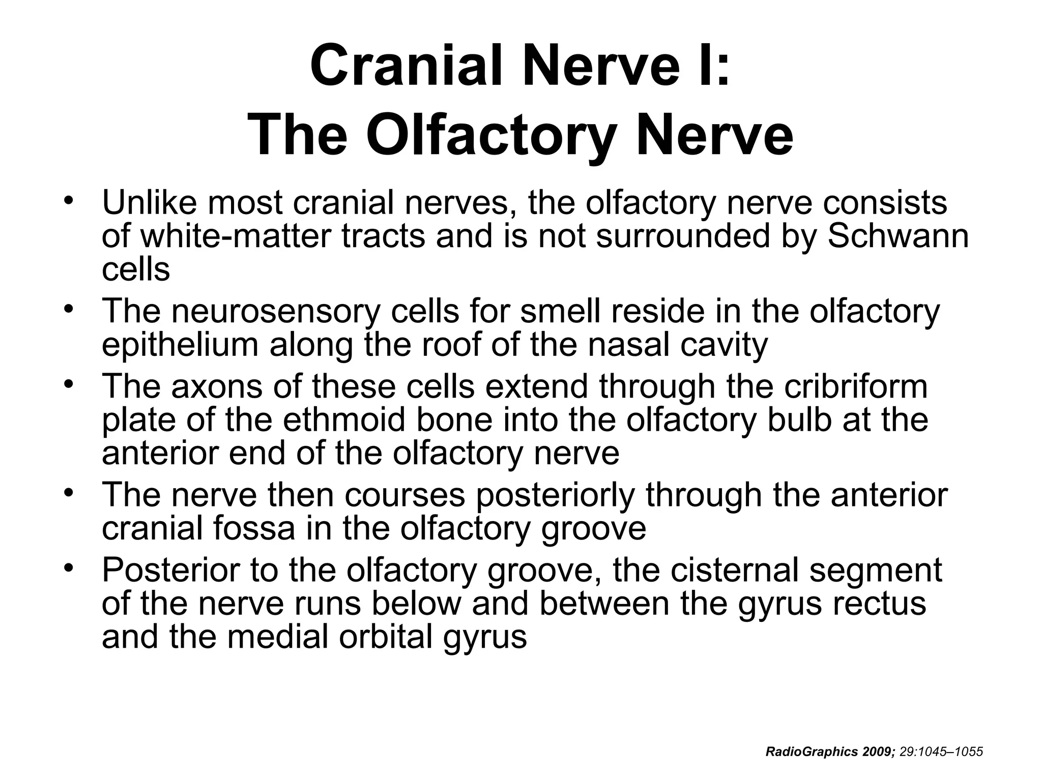Cranial Nerve I:
The Olfactory Nerve
• Unlike most cranial nerves, the olfactory nerve consists
of white-matter tracts and is not surrounded by Schwann
cells
• The neurosensory cells for smell reside in the olfactory
epithelium along the roof of the nasal cavity
• The axons of these cells extend through the cribriform
plate of the ethmoid bone into the olfactory bulb at the
anterior end of the olfactory nerve
• The nerve then courses posteriorly through the anterior
cranial fossa in the olfactory groove
• Posterior to the olfactory groove, the cisternal segment
of the nerve runs below and between the gyrus rectus
and the medial orbital gyrus
RadioGraphics 2009; 29:1045–1055
 