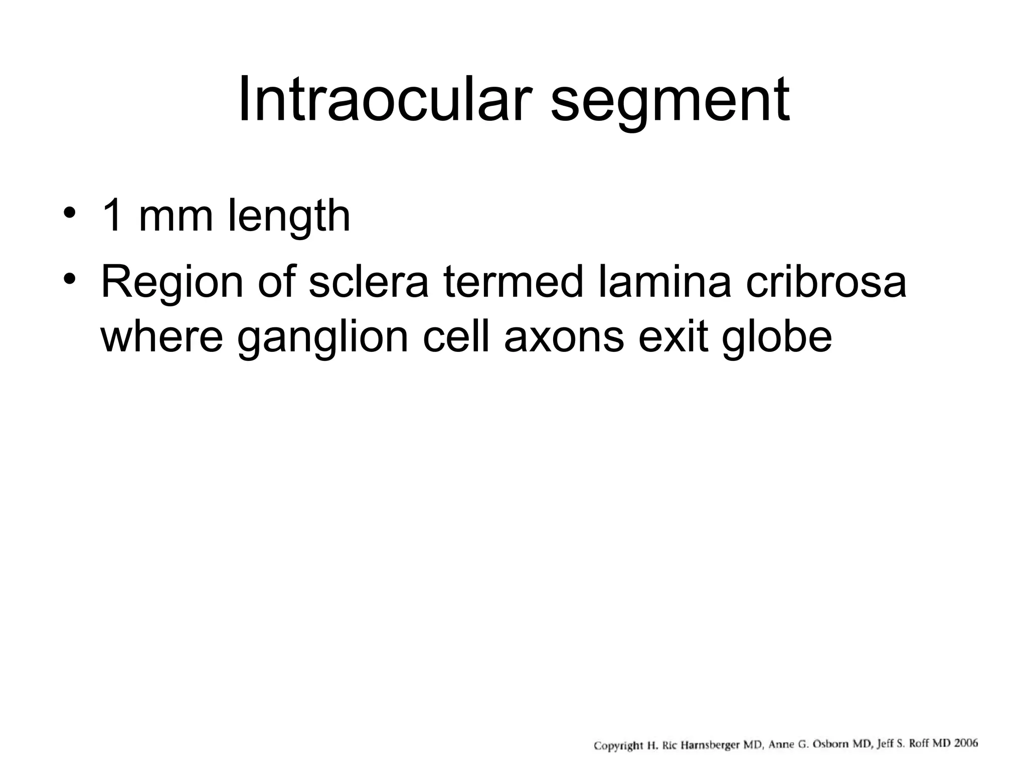 Intraocular segment
• 1 mm length
• Region of sclera termed lamina cribrosa
where ganglion cell axons exit globe
 