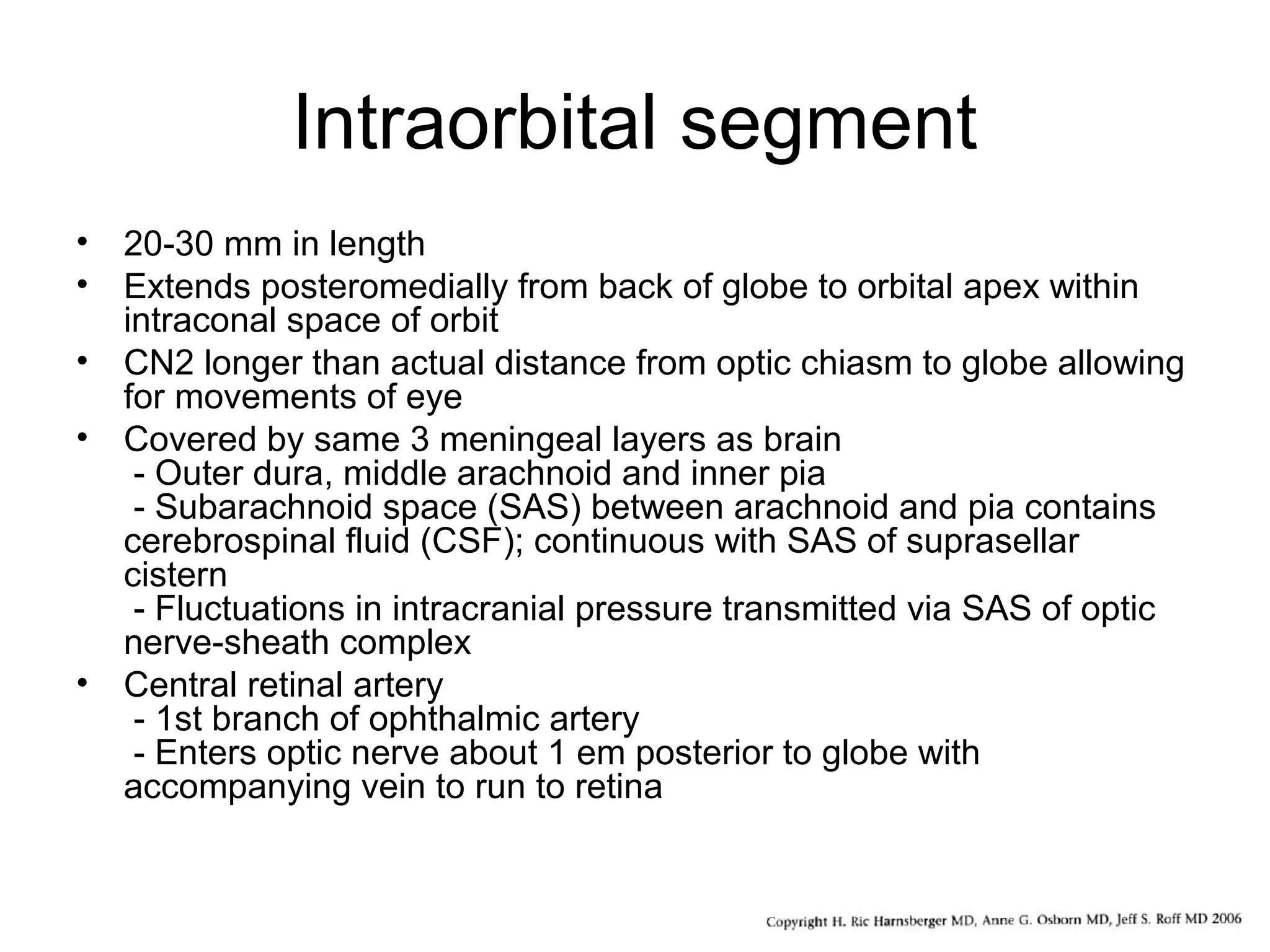 Intraorbital segment
• 20-30 mm in length
• Extends posteromedially from back of globe to orbital apex within
intraconal space of orbit
• CN2 longer than actual distance from optic chiasm to globe allowing
for movements of eye
• Covered by same 3 meningeal layers as brain
- Outer dura, middle arachnoid and inner pia
- Subarachnoid space (SAS) between arachnoid and pia contains
cerebrospinal fluid (CSF); continuous with SAS of suprasellar
cistern
- Fluctuations in intracranial pressure transmitted via SAS of optic
nerve-sheath complex
• Central retinal artery
- 1st branch of ophthalmic artery
- Enters optic nerve about 1 em posterior to globe with
accompanying vein to run to retina
 
