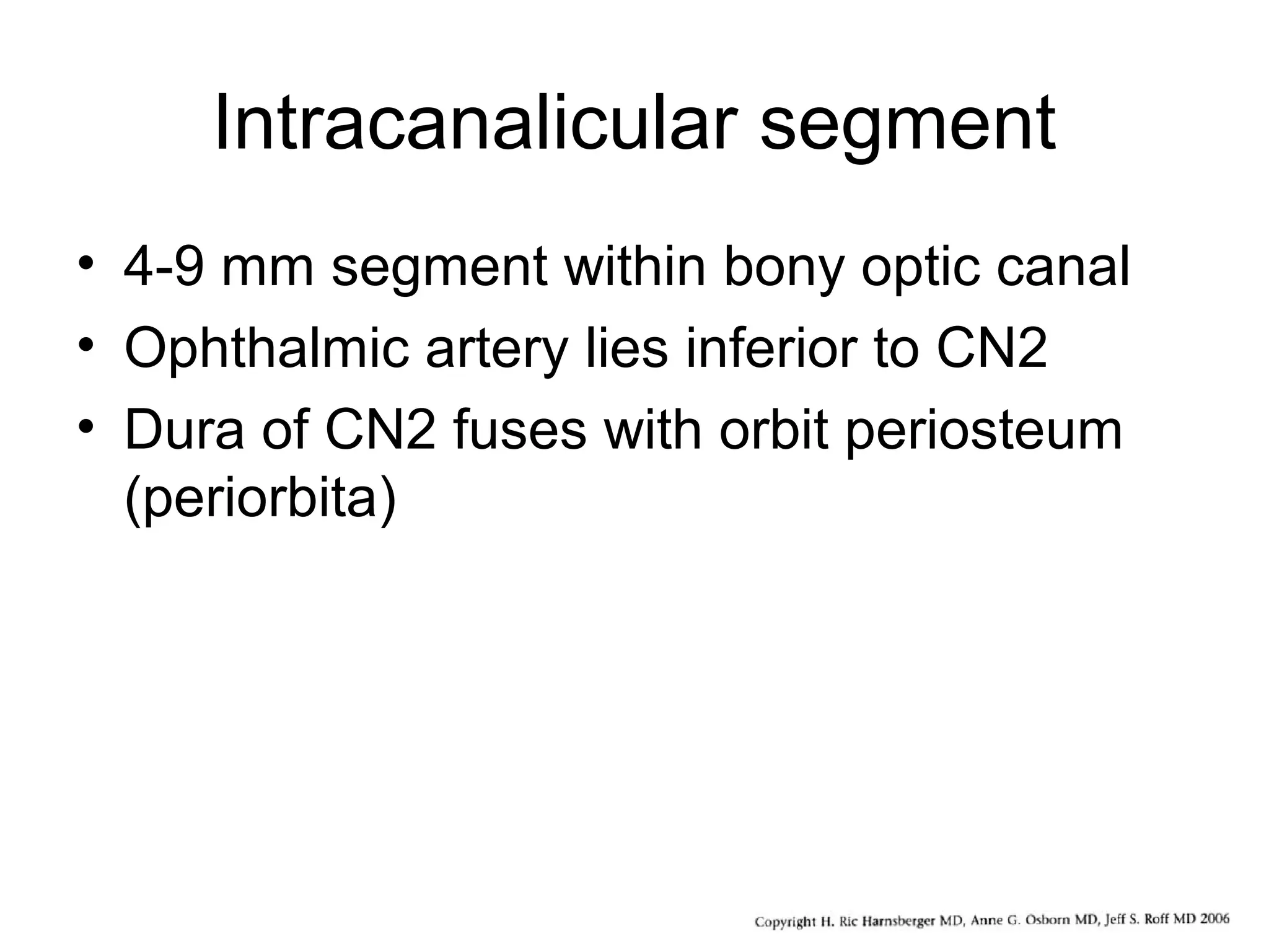 Intracanalicular segment
• 4-9 mm segment within bony optic canal
• Ophthalmic artery lies inferior to CN2
• Dura of CN2 fuses with orbit periosteum
(periorbita)
 