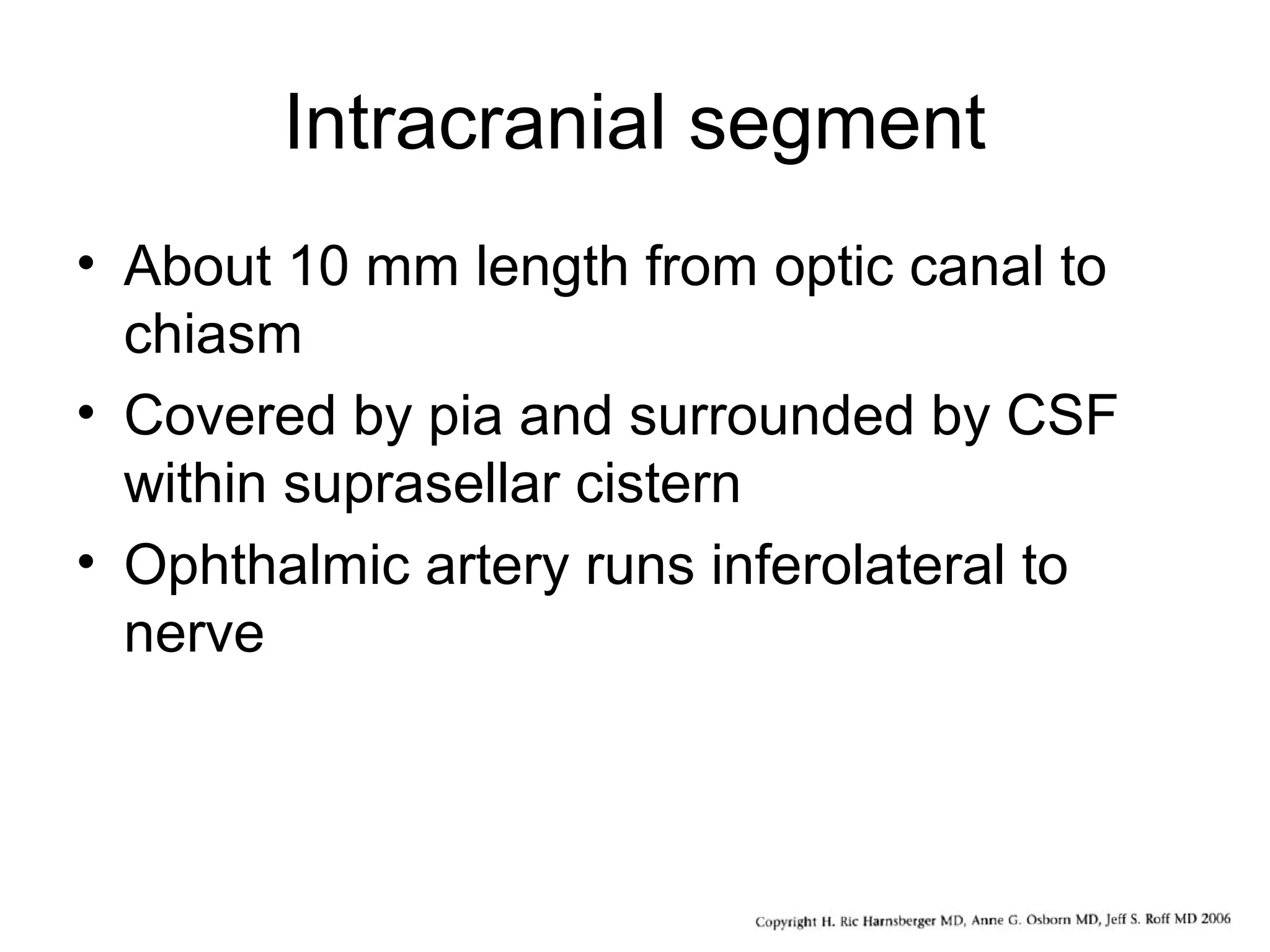 Intracranial segment
• About 10 mm length from optic canal to
chiasm
• Covered by pia and surrounded by CSF
within suprasellar cistern
• Ophthalmic artery runs inferolateral to
nerve
 