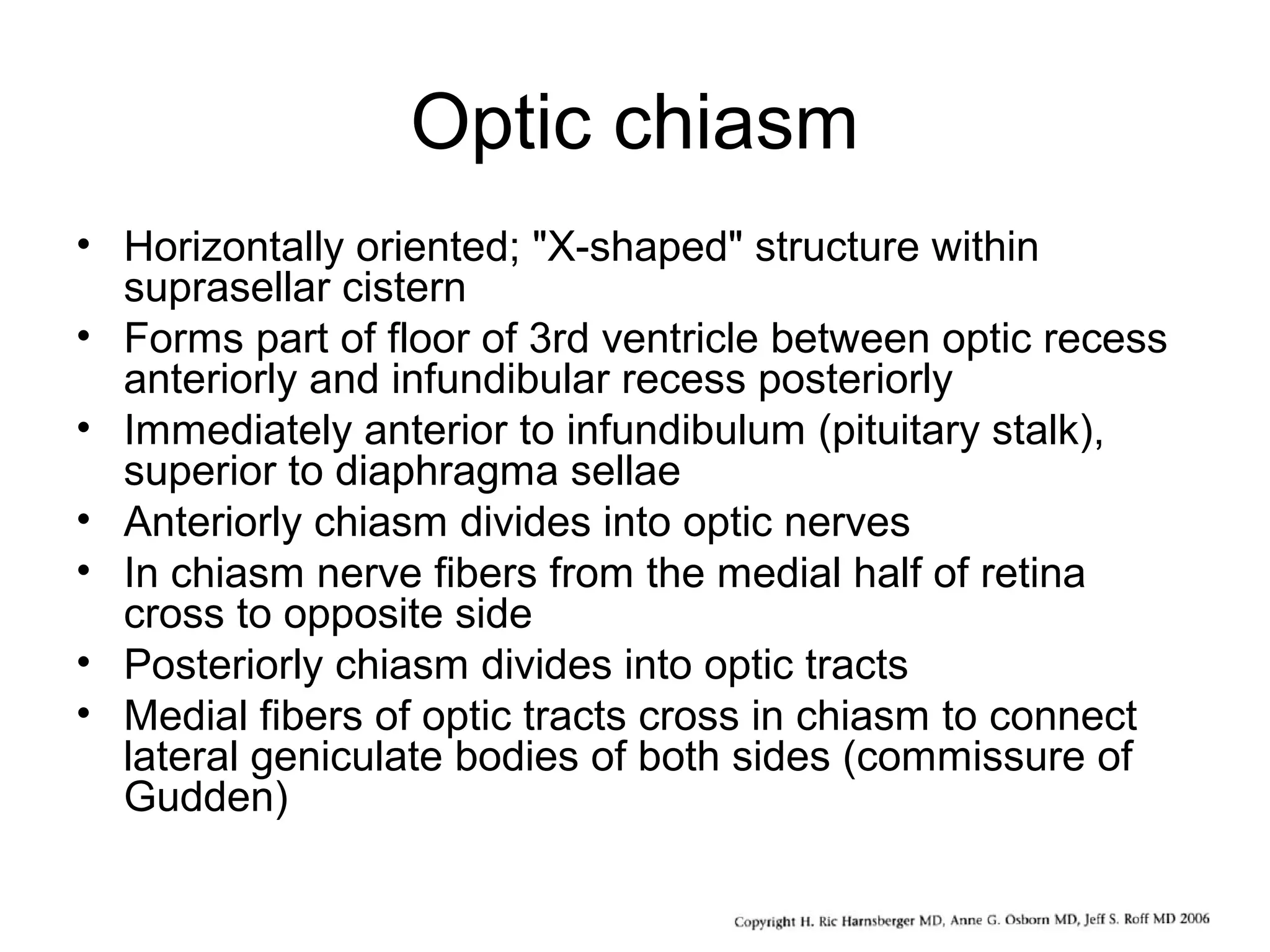 Optic chiasm
• Horizontally oriented; "X-shaped" structure within
suprasellar cistern
• Forms part of floor of 3rd ventricle between optic recess
anteriorly and infundibular recess posteriorly
• Immediately anterior to infundibulum (pituitary stalk),
superior to diaphragma sellae
• Anteriorly chiasm divides into optic nerves
• In chiasm nerve fibers from the medial half of retina
cross to opposite side
• Posteriorly chiasm divides into optic tracts
• Medial fibers of optic tracts cross in chiasm to connect
lateral geniculate bodies of both sides (commissure of
Gudden)
 