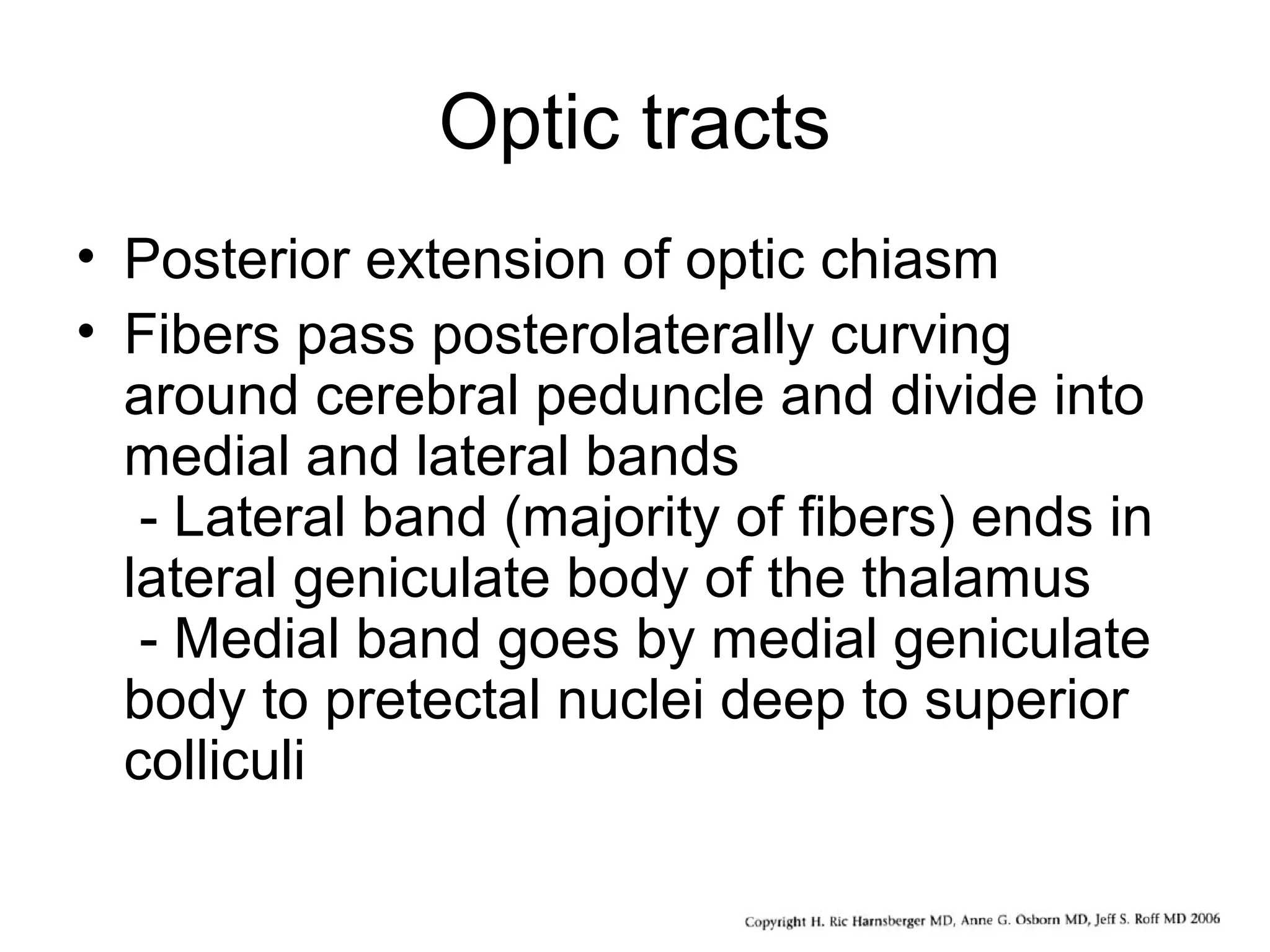 Optic tracts
• Posterior extension of optic chiasm
• Fibers pass posterolaterally curving
around cerebral peduncle and divide into
medial and lateral bands
- Lateral band (majority of fibers) ends in
lateral geniculate body of the thalamus
- Medial band goes by medial geniculate
body to pretectal nuclei deep to superior
colliculi
 