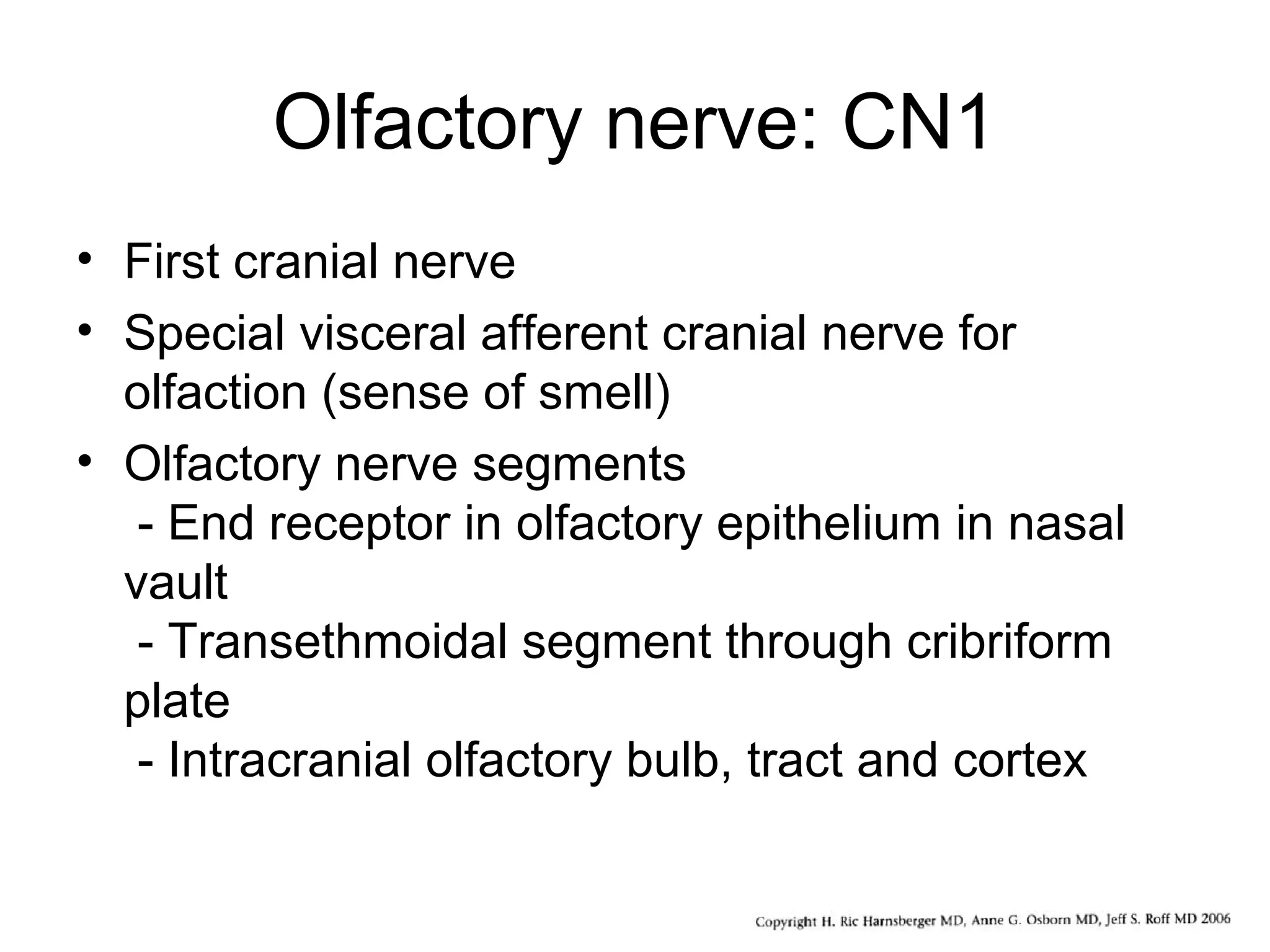 Olfactory nerve: CN1
• First cranial nerve
• Special visceral afferent cranial nerve for
olfaction (sense of smell)
• Olfactory nerve segments
- End receptor in olfactory epithelium in nasal
vault
- Transethmoidal segment through cribriform
plate
- Intracranial olfactory bulb, tract and cortex
 