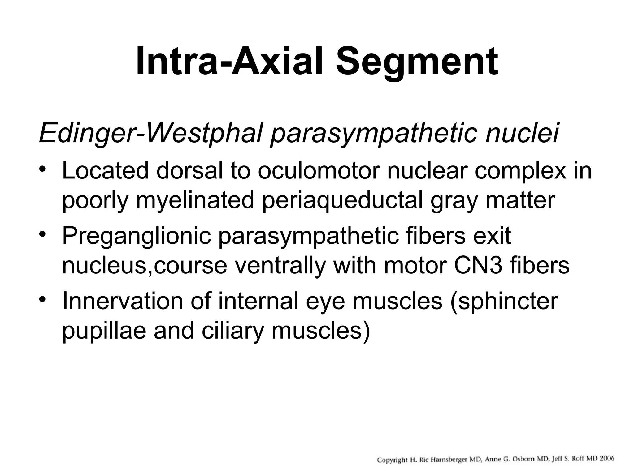 Intra-Axial Segment
Edinger-Westphal parasympathetic nuclei
• Located dorsal to oculomotor nuclear complex in
poorly myelinated periaqueductal gray matter
• Preganglionic parasympathetic fibers exit
nucleus,course ventrally with motor CN3 fibers
• Innervation of internal eye muscles (sphincter
pupillae and ciliary muscles)
 