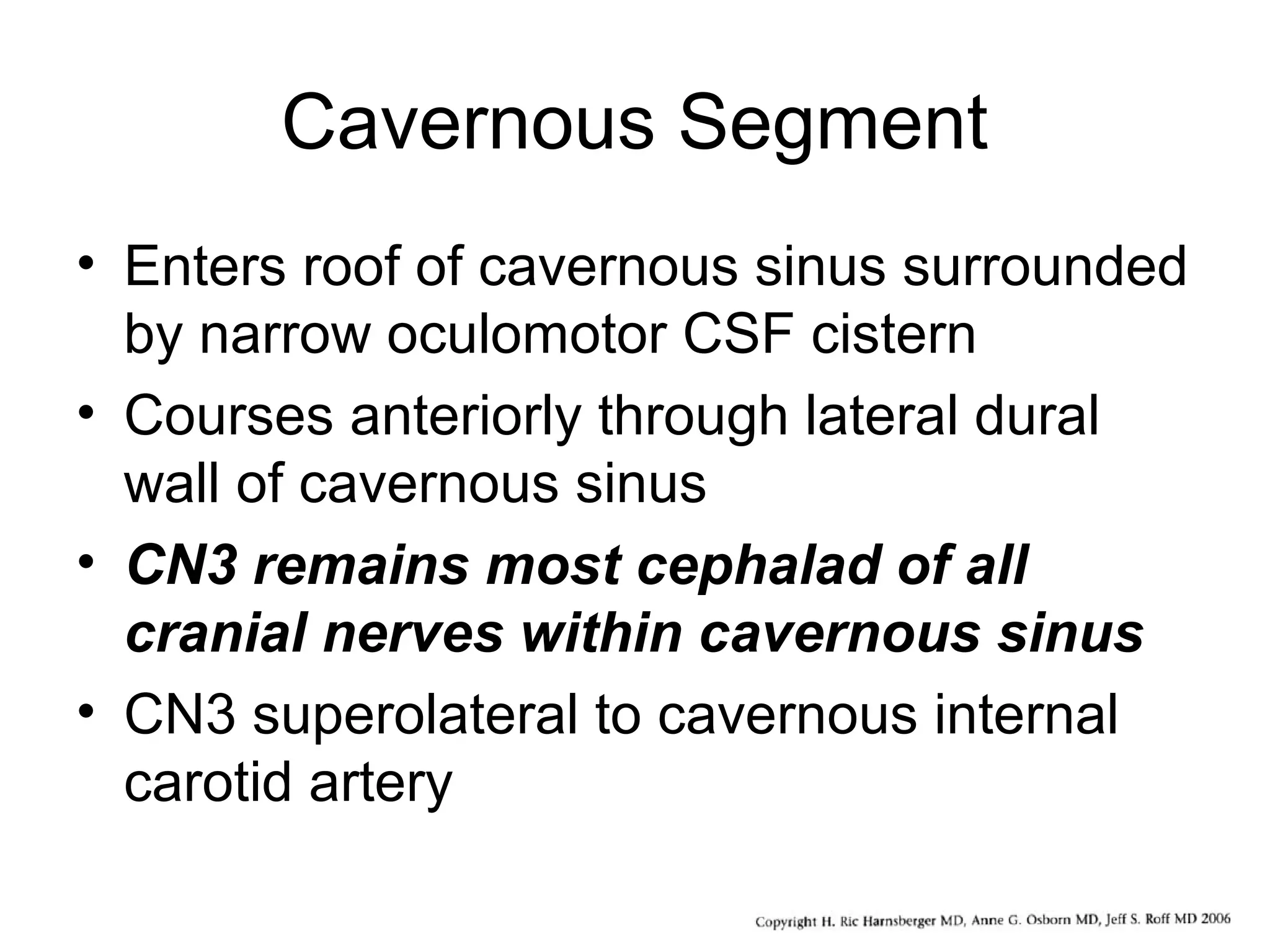 Cavernous Segment
• Enters roof of cavernous sinus surrounded
by narrow oculomotor CSF cistern
• Courses anteriorly through lateral dural
wall of cavernous sinus
• CN3 remains most cephalad of all
cranial nerves within cavernous sinus
• CN3 superolateral to cavernous internal
carotid artery
 