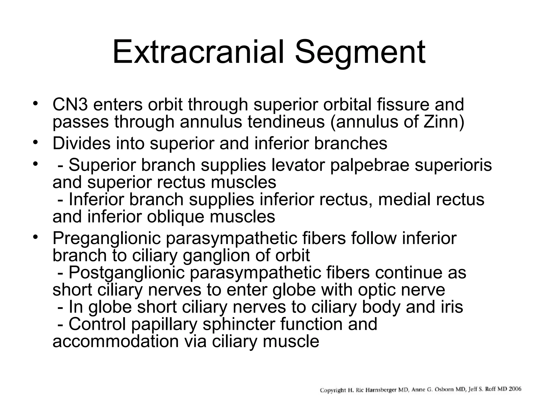 Extracranial Segment
• CN3 enters orbit through superior orbital fissure and
passes through annulus tendineus (annulus of Zinn)
• Divides into superior and inferior branches
• - Superior branch supplies levator palpebrae superioris
and superior rectus muscles
- Inferior branch supplies inferior rectus, medial rectus
and inferior oblique muscles
• Preganglionic parasympathetic fibers follow inferior
branch to ciliary ganglion of orbit
- Postganglionic parasympathetic fibers continue as
short ciliary nerves to enter globe with optic nerve
- In globe short ciliary nerves to ciliary body and iris
- Control papillary sphincter function and
accommodation via ciliary muscle
 