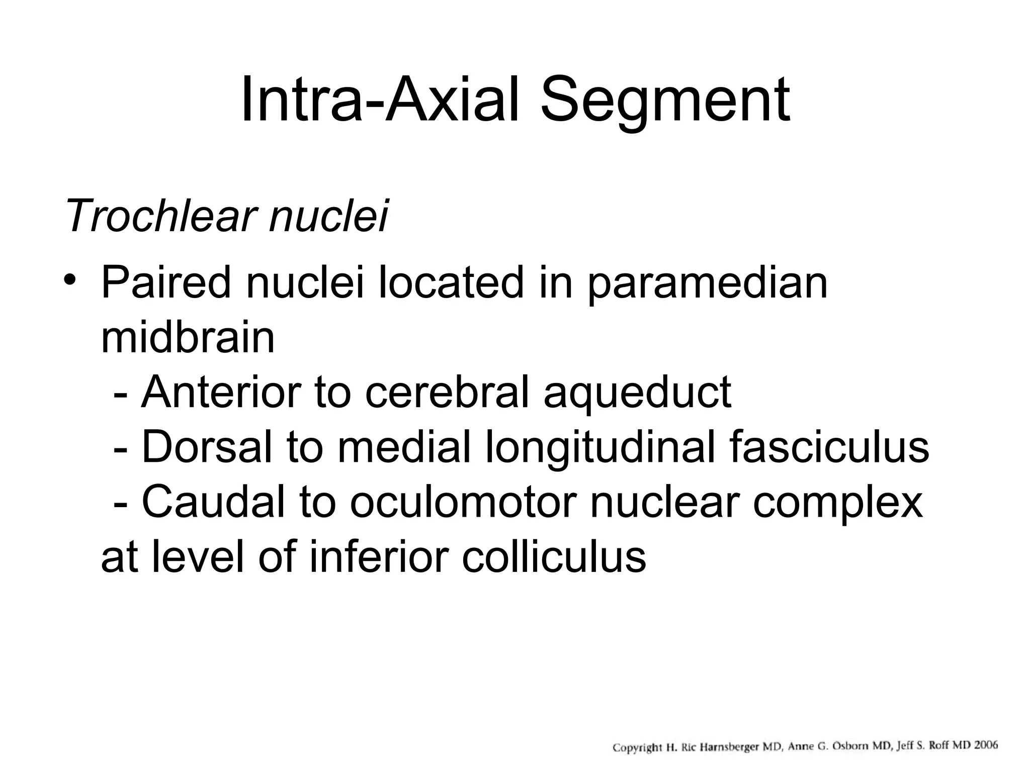 Intra-Axial Segment
Trochlear nuclei
• Paired nuclei located in paramedian
midbrain
- Anterior to cerebral aqueduct
- Dorsal to medial longitudinal fasciculus
- Caudal to oculomotor nuclear complex
at level of inferior colliculus
 