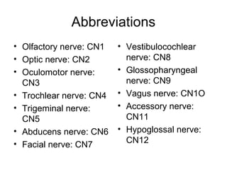 Cn5 Cranial nerves part 2 | PPT
