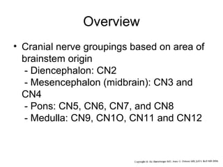 Cn5 Cranial nerves part 2 | PPT