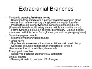 Cranial nerves part ii | PPT