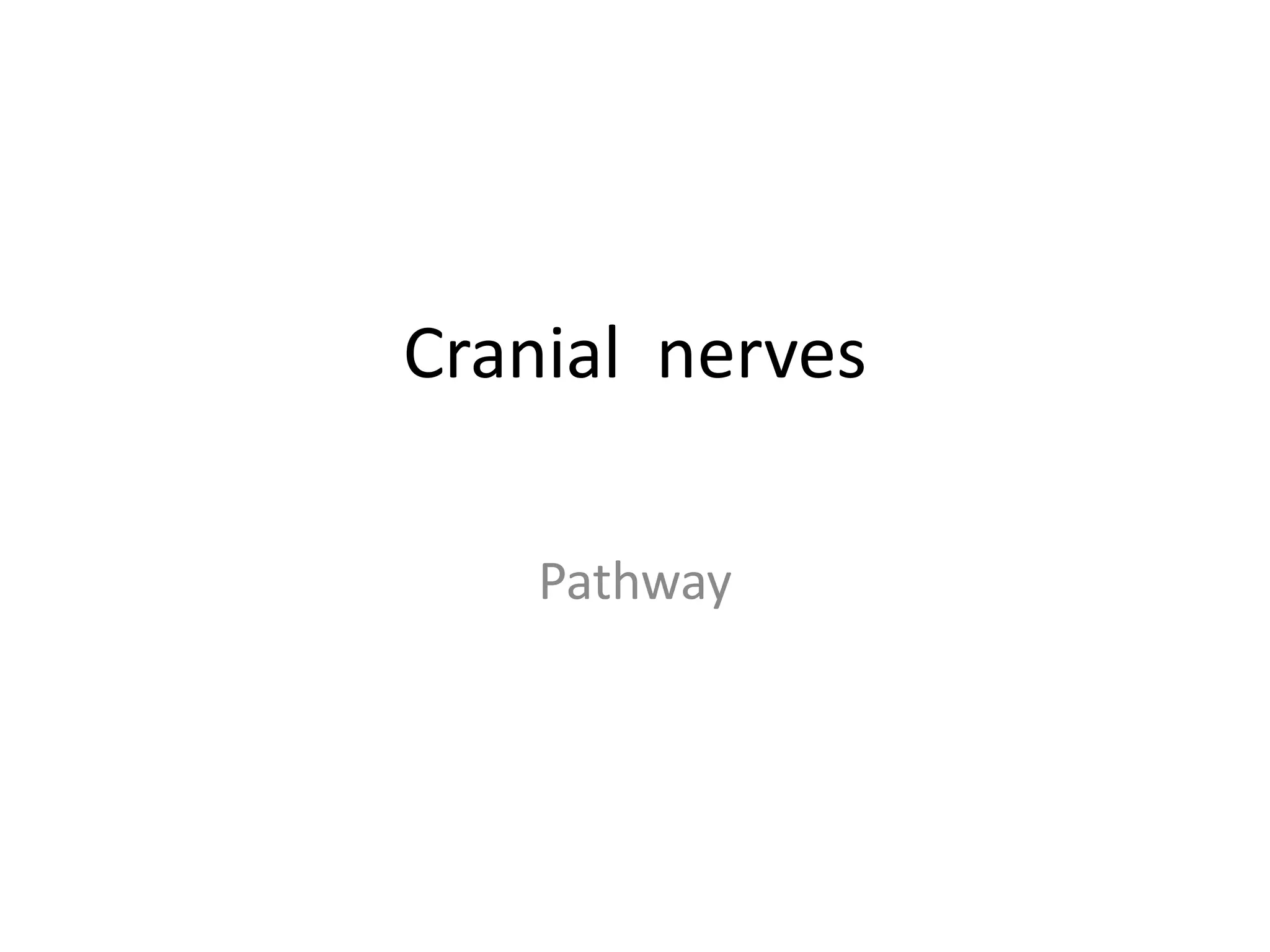 Repairing Damaged Nerves: The Neurorrhaphy Procedure Explained - 4rqnovm
