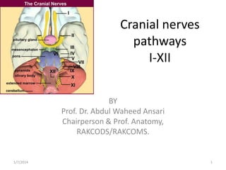 Cranial nerves
pathways
I-XII
BY
Prof. Dr. Abdul Waheed Ansari
Chairperson & Prof. Anatomy,
RAKCODS/RAKCOMS.

1/7/2014

1

 