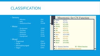 CLASSIFICATION
 Sensory
 olfactory CN I
 optic CN I
 vestibulocochlear CNVIII
 Motor
 Oculomotor CN III
 Trochlear CN IV
 Abducent CNVI
 Accessory CN XI
 Hypoglossal CN XII
 Mixed
 Trigeminal CNV
 Facial CNVII
 Glossopharyngeal CN IX
 Vagus CN X
 