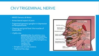 CNVTRIGEMINAL NERVE
 MIXED Sensory & Motor
 Arises lateral aspect of pons
 Trigeminal (sensory) ganglion in depression
on temporal bone.
 Chewing and grind food: the muscles of
mastication
 • Splits into
 ophthalmic (Va), The ophthalmic nerve
transmits sensory fibres from the eyeball,
the skin of the upper face and anterior scalp,
the lining of the upper part of the nasal
cavity and air cells, and the meninges of the
anterior cranial fossa
 maxillary (Vb)
 mandibular (Vc)
 Shingles and varicella-zosteras
 Trigeminal Neuralgia
 