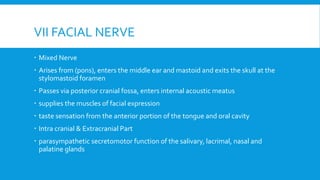VII FACIAL NERVE
 Mixed Nerve
 Arises from (pons), enters the middle ear and mastoid and exits the skull at the
stylomastoid foramen
 Passes via posterior cranial fossa, enters internal acoustic meatus
 supplies the muscles of facial expression
 taste sensation from the anterior portion of the tongue and oral cavity
 Intra cranial & Extracranial Part
 parasympathetic secretomotor function of the salivary, lacrimal, nasal and
palatine glands
 