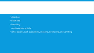  digestion
 heart rate
 breathing
 cardiovascular activity
 reflex actions, such as coughing, sneezing, swallowing, and vomiting
 