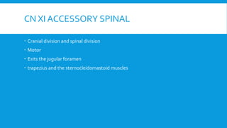CN XI ACCESSORY SPINAL
 Cranial division and spinal division
 Motor
 Exits the jugular foramen
 trapezius and the sternocleidomastoid muscles
 