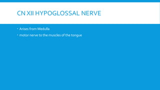 CN XII HYPOGLOSSAL NERVE
 Arises from Medulla
 motor nerve to the muscles of the tongue
 